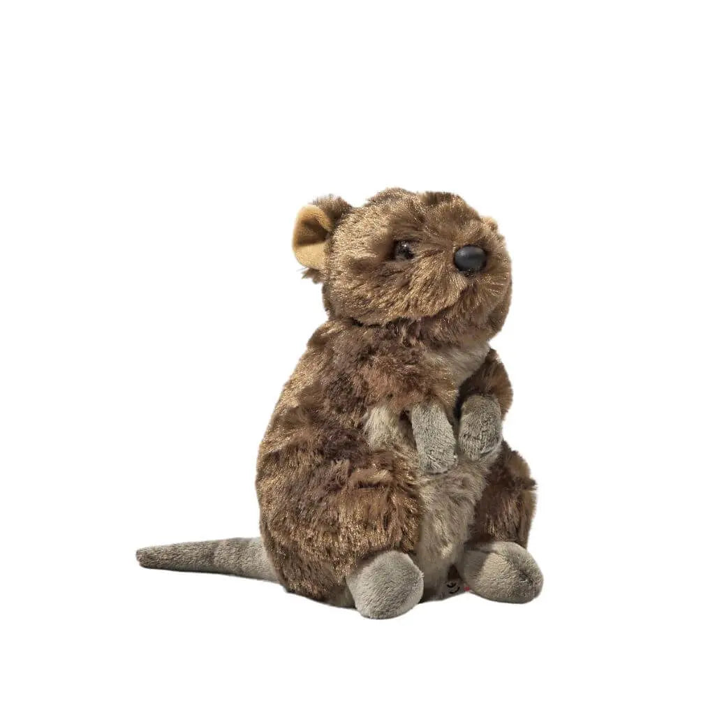 15cm Quokka Soft Toy Allanson Souvenirs 