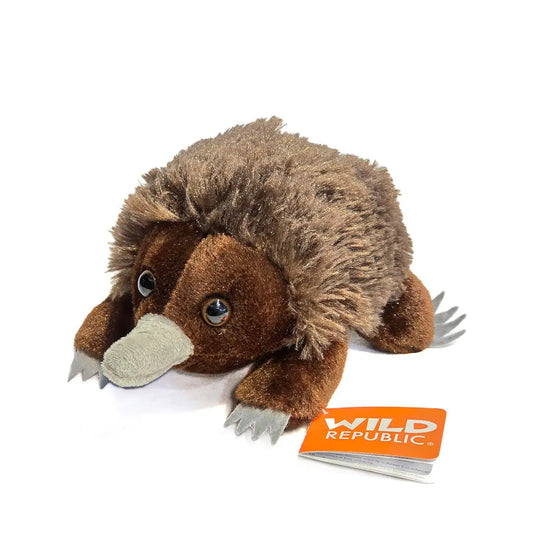 18cm Echidna Soft Toy Allanson Souvenirs