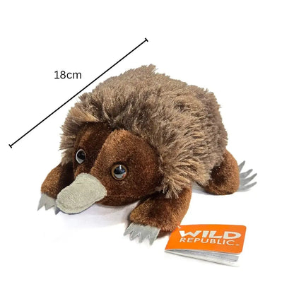 18cm Echidna Soft Toy Size Guide Allanson Souvenirs