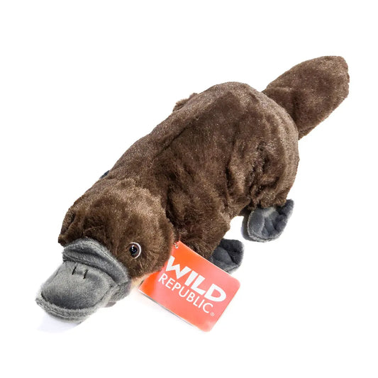 32cm Platypus Soft Toy Allanson Souvenirs