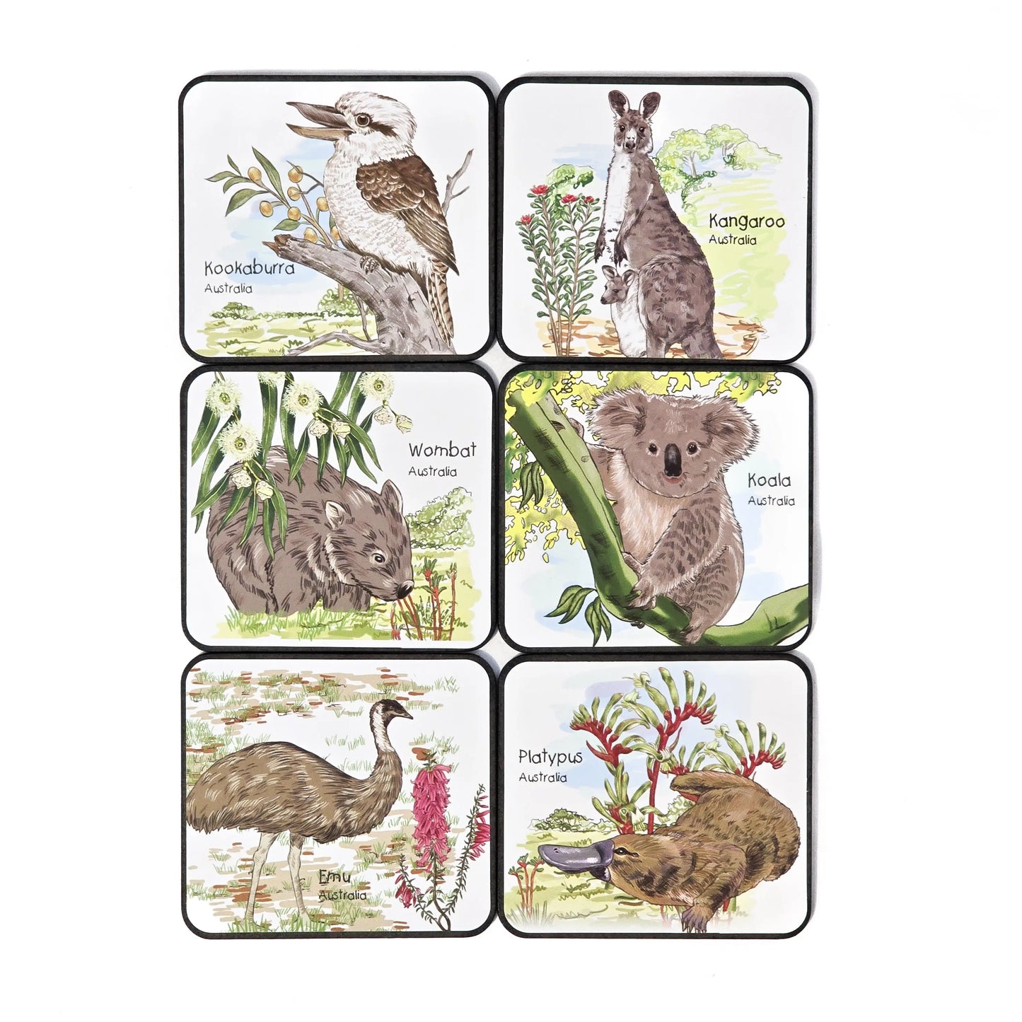 Aussie Animal Coaster Set Allanson Souvenirs