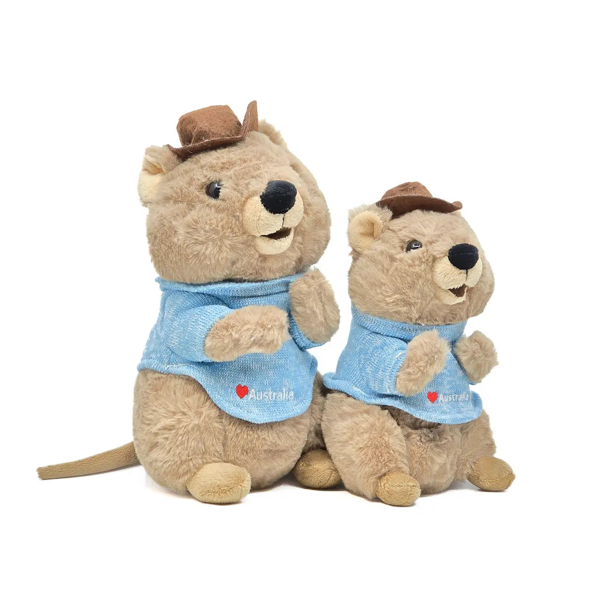 25cm & 20cm Mokka the Quokka - Allanson Souvenirs