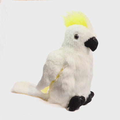 Sulphur Crest Cockatoo