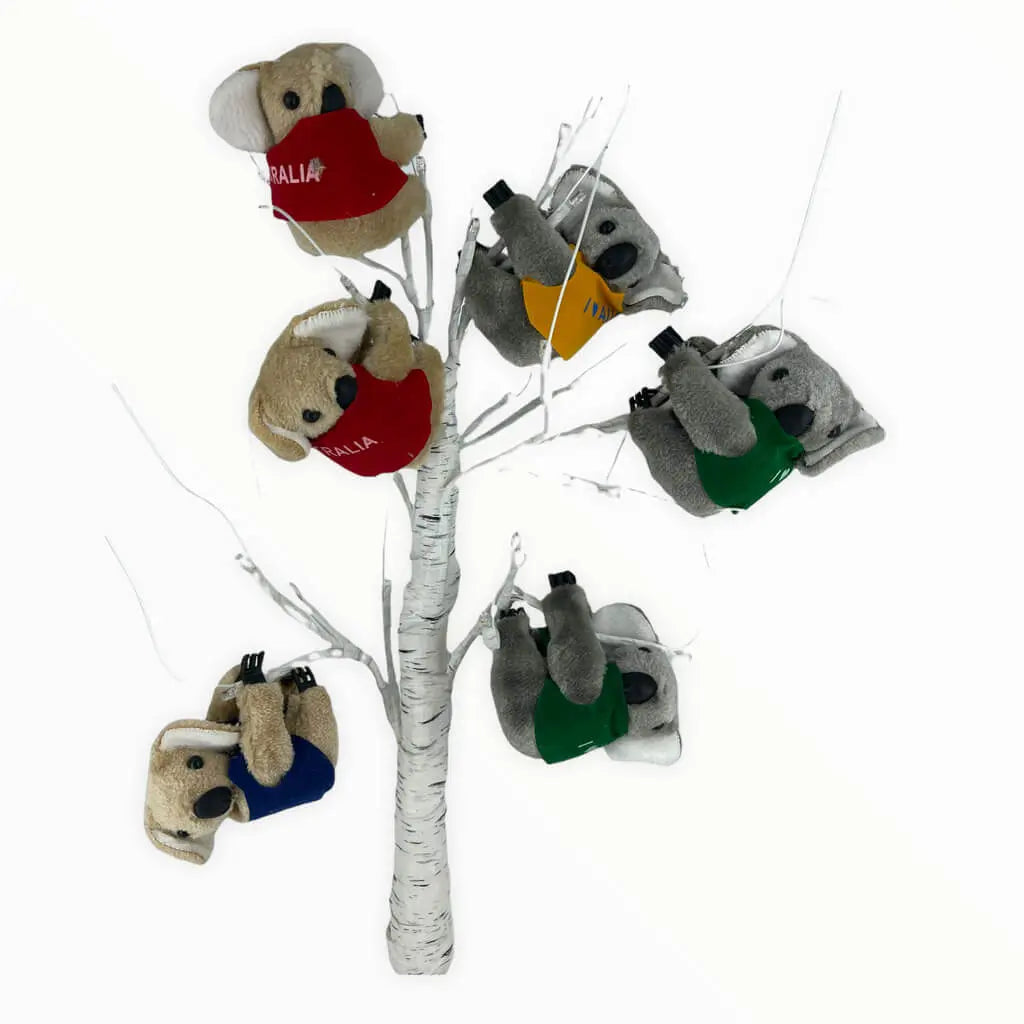 Jumbo Clip-on Koala's - Pack of 6 Allanson Souvenirs